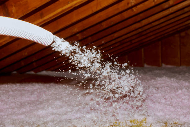 Best Types of Insulation in Gonzales, LA